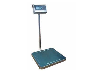 ̩������